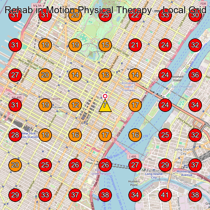Rehab in Motion Physical Therapy GeoGrid visibility map for Physical Therapist in New York